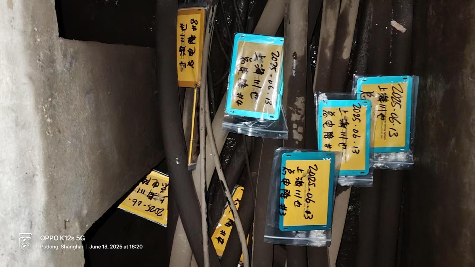 上海川也电机有限公司
